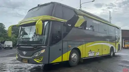 DG Trans Bus-Side Image