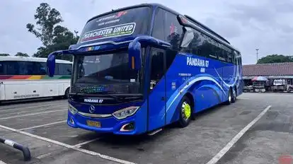 Pandawa 87 Bus-Front Image