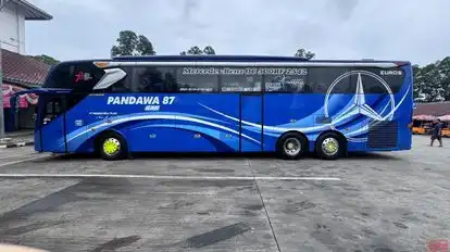 Pandawa 87 Bus-Side Image