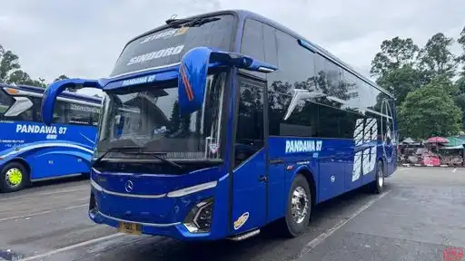 Pandawa 87 Bus-Front Image