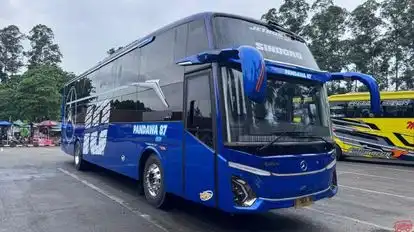 Pandawa 87 Bus-Front Image