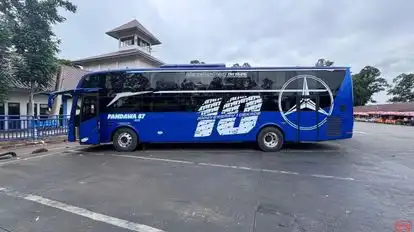 Pandawa 87 Bus-Side Image