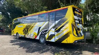 Handoyo RA Bus-Front Image