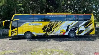 Handoyo RA Bus-Side Image