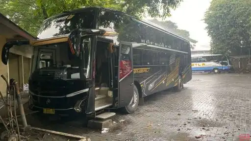Semeru Trans Bus Bus-Front Image