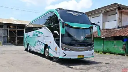 Rimba Raya Bus Bus-Front Image