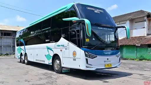 Rimba Raya Bus Bus-Front Image