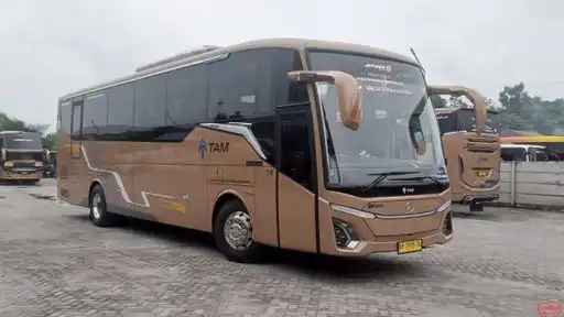 Tunas Antarnusa Muda Bus-Front Image