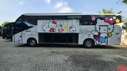 KYM Trans Bus-Side Image