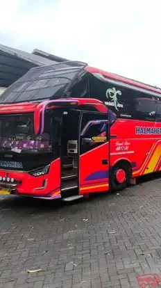 Halmahera Bus-Side Image