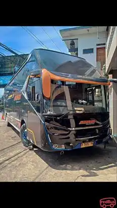 Alendra Bus-Front Image
