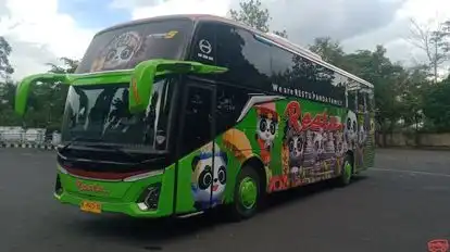 Restu Panda Bus-Front Image