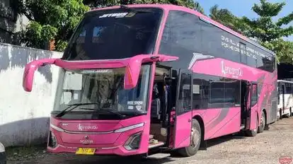 KencanaQu Bus-Front Image