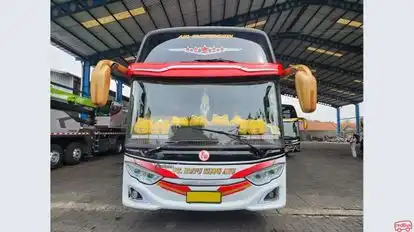 Kupu Kupu Ayu Bus-Front Image