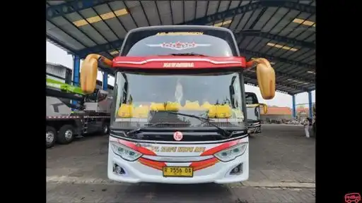 Kupu Kupu Ayu Bus-Front Image