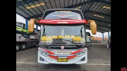 Kupu Kupu Ayu Bus-Front Image