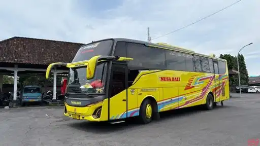 Nusa Bali Bus-Front Image