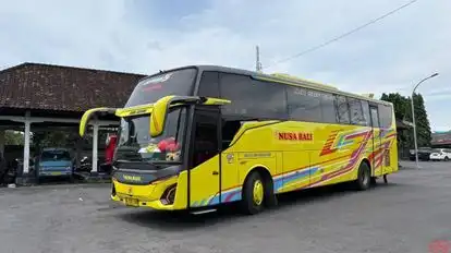 Nusa Bali Bus-Front Image
