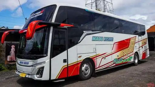 Madu Kismo Bus-Front Image