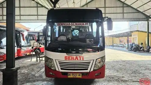 Sehati Transport Bus-Front Image