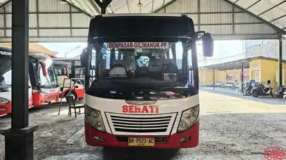 Sehati Transport Bus-Front Image