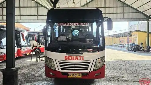 Sehati Transport Bus-Front Image