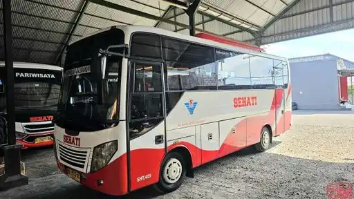 Sehati Transport Bus-Front Image
