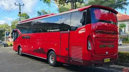 Day Bus Bus-Side Image