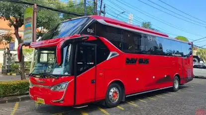 Day Bus Bus-Side Image