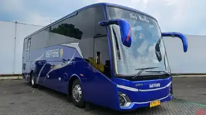 168 Trans Bus-Front Image