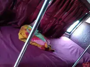 Hare  Krishna Travels Bus-Seats Image