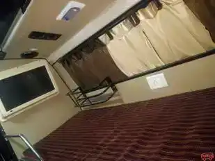 Bhopal  Travels Bus-Seats Image