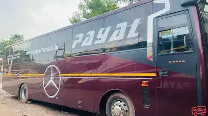Payal Travels Durg Bus-Side Image