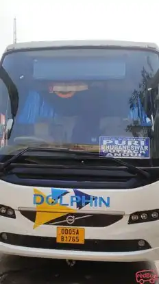 Dolphin tours and travels Bus-Front Image