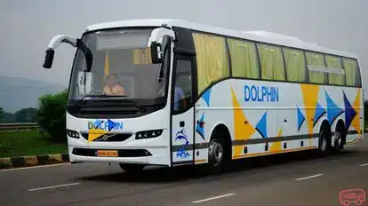 Dolphin tours and travels Bus-Side Image