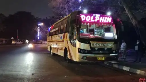 Dolphin tours and travels Bus-Front Image