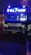Dolphin tours and travels Bus-Front Image