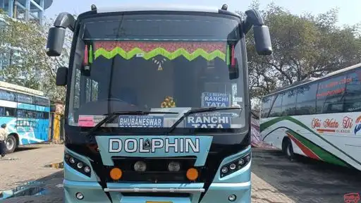 Dolphin tours and travels Bus-Front Image