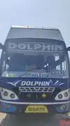 Dolphin tours and travels Bus-Front Image