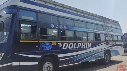 Dolphin tours and travels Bus-Side Image