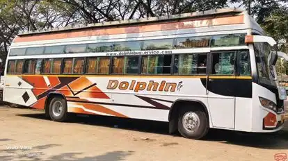 Dolphin tours and travels Bus-Side Image