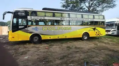 Dolphin tours and travels Bus-Side Image