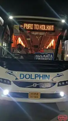 Dolphin tours and travels Bus-Front Image