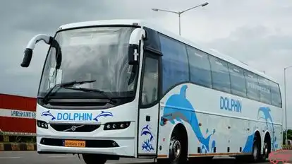 Dolphin tours and travels Bus-Front Image