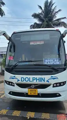 Dolphin tours and travels Bus-Front Image