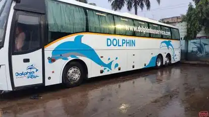 Dolphin tours and travels Bus-Side Image