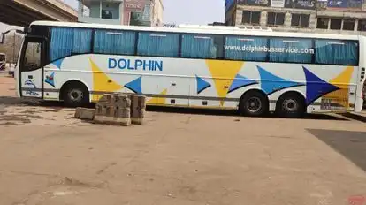 Dolphin tours and travels Bus-Side Image