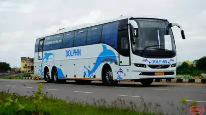 Dolphin tours and travels Bus-Side Image