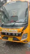 Dolphin tours and travels Bus-Front Image