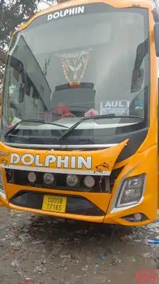 Dolphin tours and travels Bus-Front Image